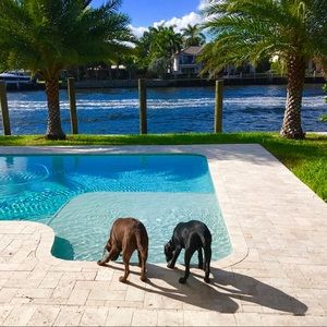 Meet your Posher, Ali